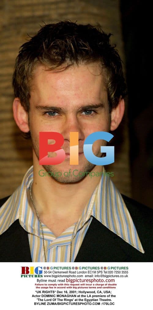 DOMINIC MONAGHAN at 'The Lord Of The Rings' LA premiere