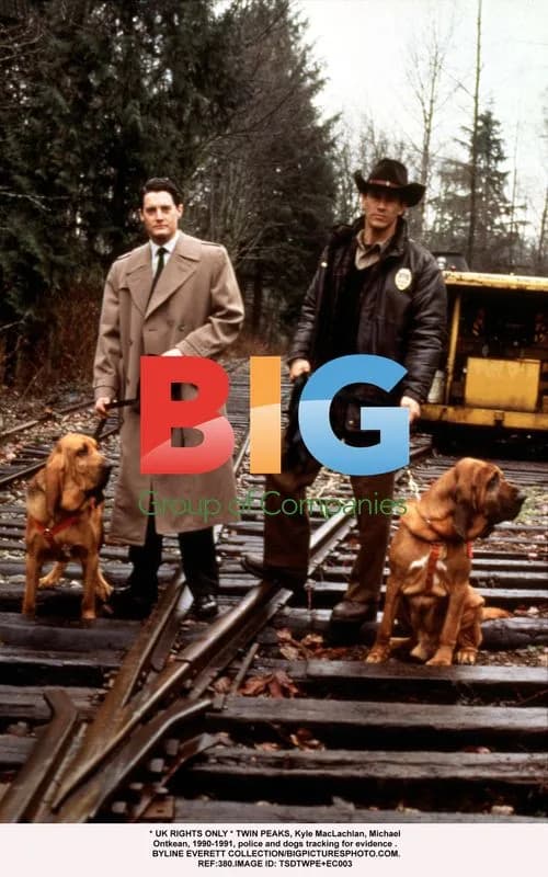 TWIN PEAKS cast tracking evidence