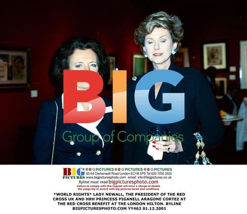 Red Cross Benefit at London Hilton