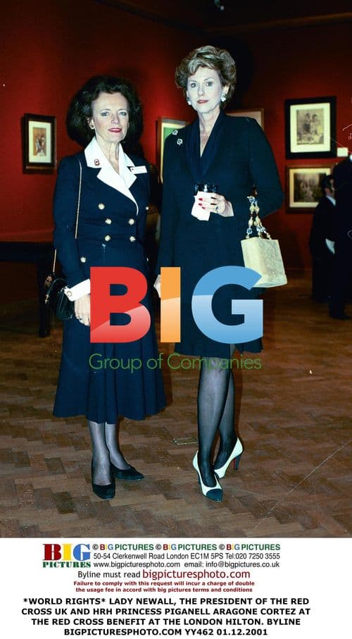 Lady Newall and Princess Piganell at Red Cross Benefit