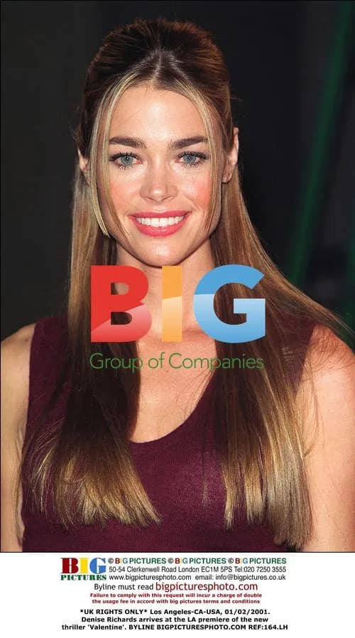 Denise Richards at 'Valentine' LA Premiere