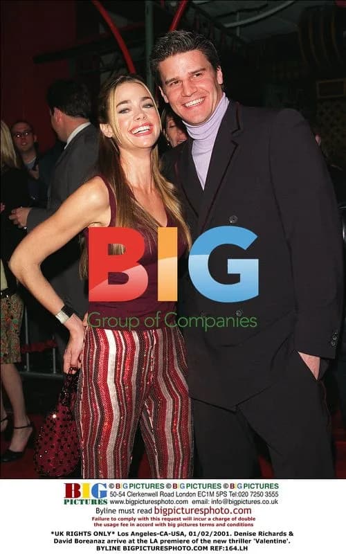 Denise Richards & David Boreanaz at 'Valentine' LA Premiere