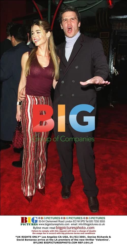 Denise Richards & David Boreanaz at 'Valentine' LA Premiere