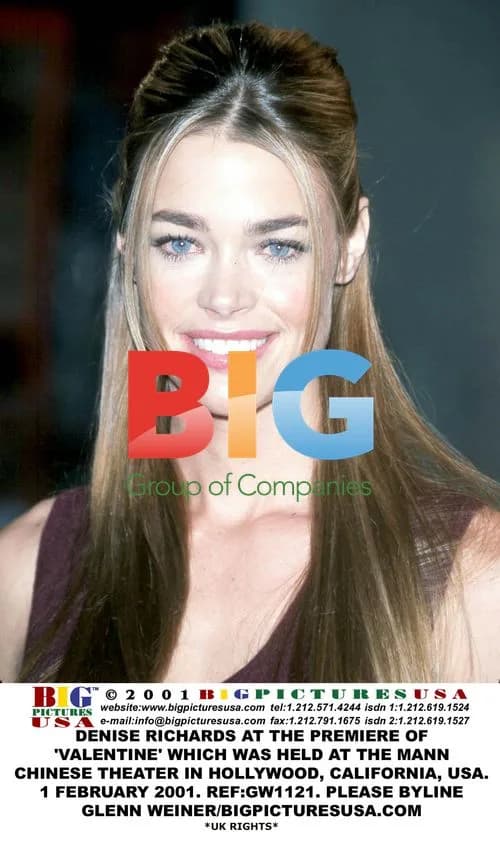 Denise Richards at 'Valentine' Premiere