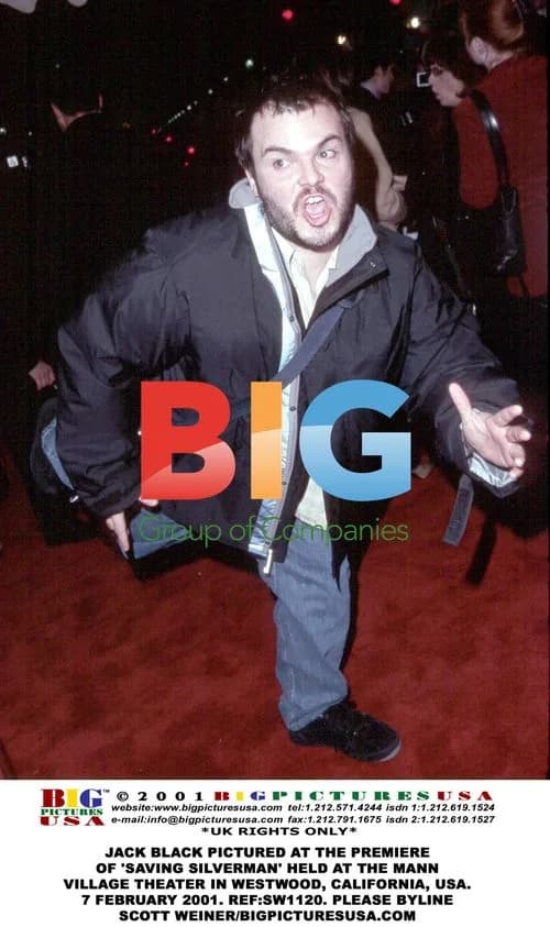 Jack Black at 'Saving Silverman' Premiere