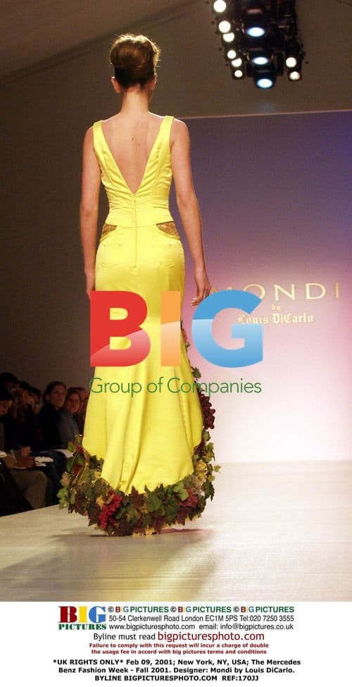 Mercedes Benz Fashion Week - Fall 2001