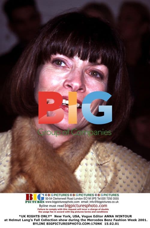 Anna Wintour at Helmut Lang Fall 2001 show
