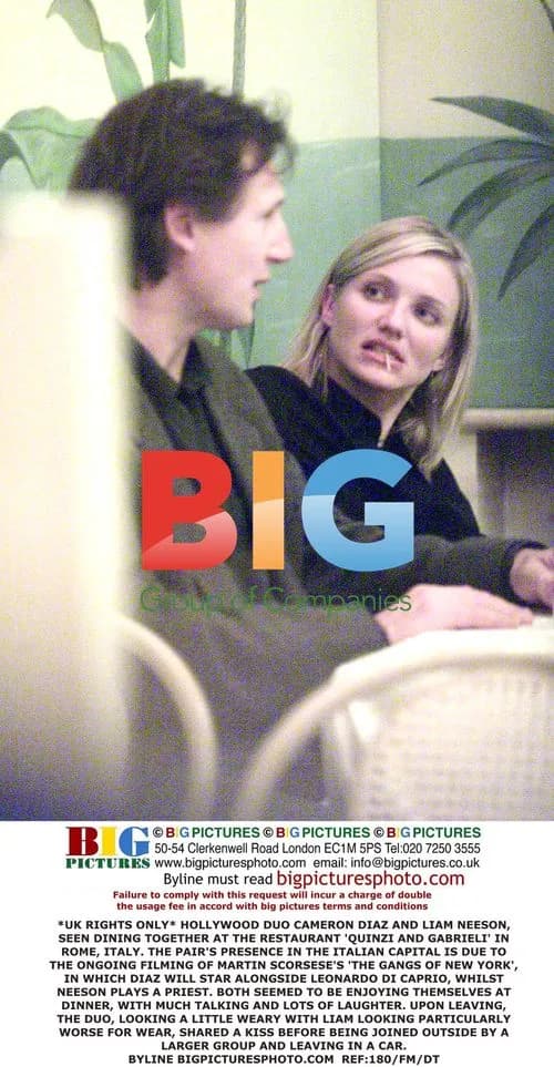 Liam Neeson and Cameron Diaz Dine in Rome