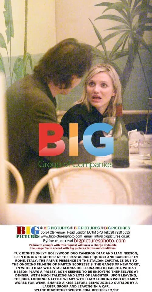 Liam Neeson and Cameron Diaz Dine in Rome