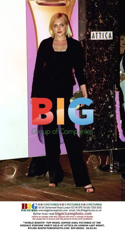 Sophie Dahl at Versace Perfume Party