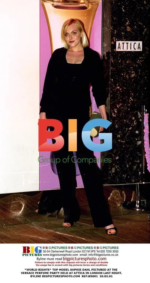 Sophie Dahl at Versace Perfume Party