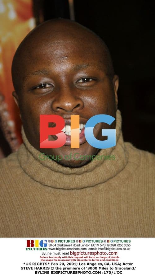 Steve Harris at 3000 Miles to Graceland Premiere