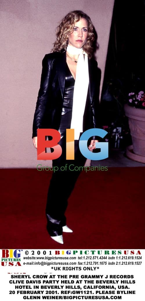 Sheryl Crow at Pre-Grammy J Records Party