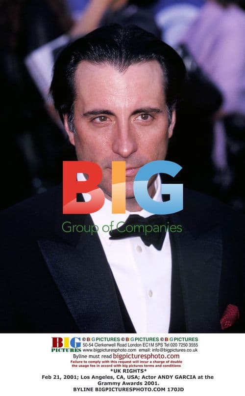 Andy Garcia at Grammy Awards 2001