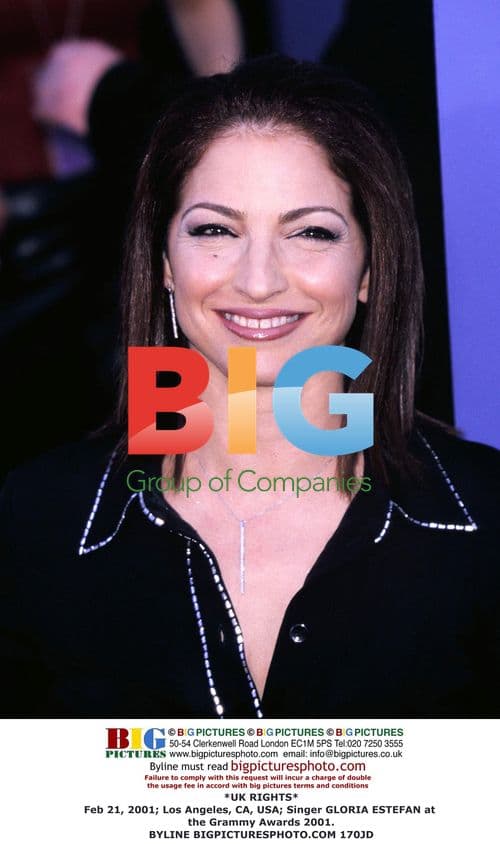 Gloria Estefan at the Grammy Awards 2001