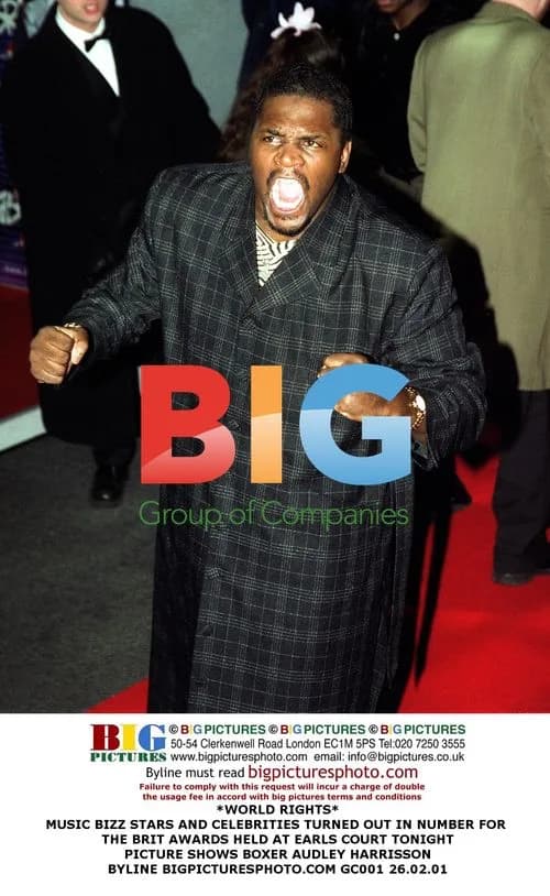 Audley Harrison at Brit Awards