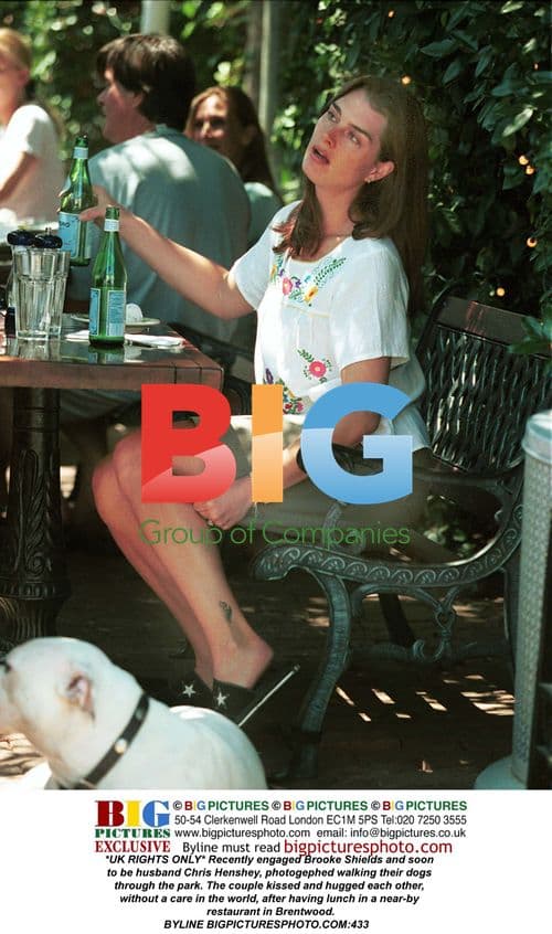 Brooke Shields and Chris Henshey walk dogs