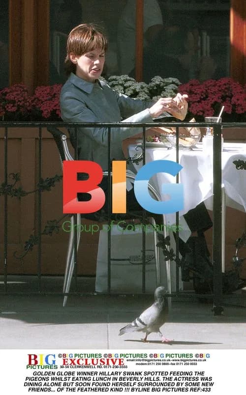 Hillary Swank Feeds Pigeons in Beverly Hills