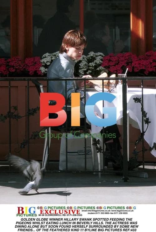 Hillary Swank Feeds Pigeons in Beverly Hills