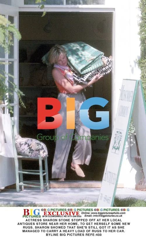 Sharon Stone shops for rugs