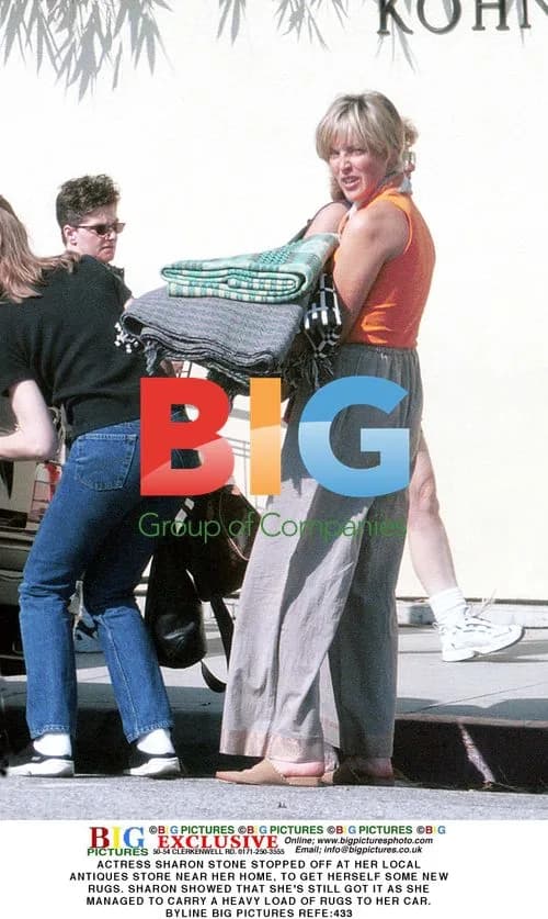 Sharon Stone Shops for Rugs