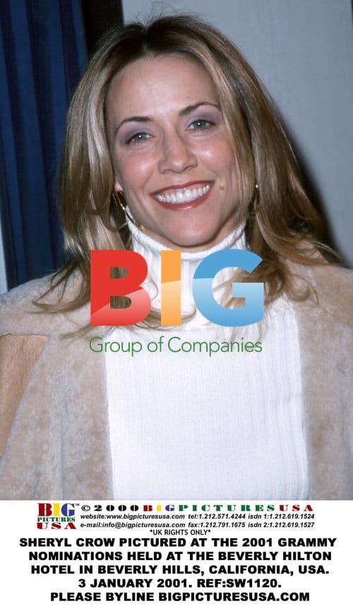 Sheryl Crow at 2001 Grammy Nominations