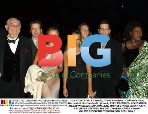 Boston Public cast at 2001 People's Choice Awards