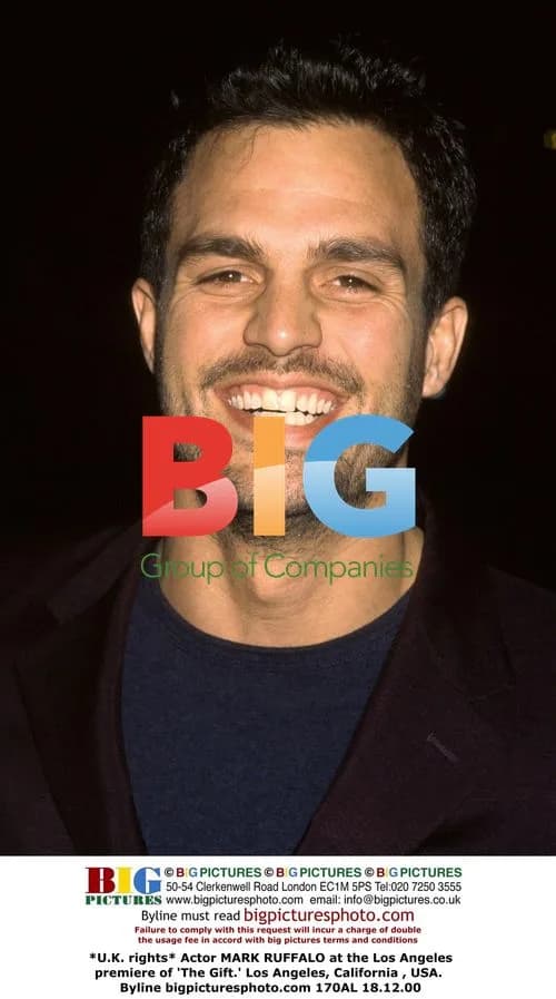 Mark Ruffalo at 'The Gift' LA Premiere