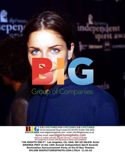 Amanda Peet at Independent Spirit Awards Nomination Party