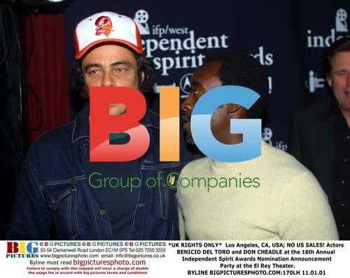 Benicio Del Toro and Don Cheadle at Spirit Awards Nomination Party