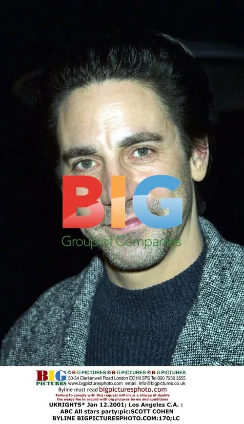 ABC All Stars Party in LA