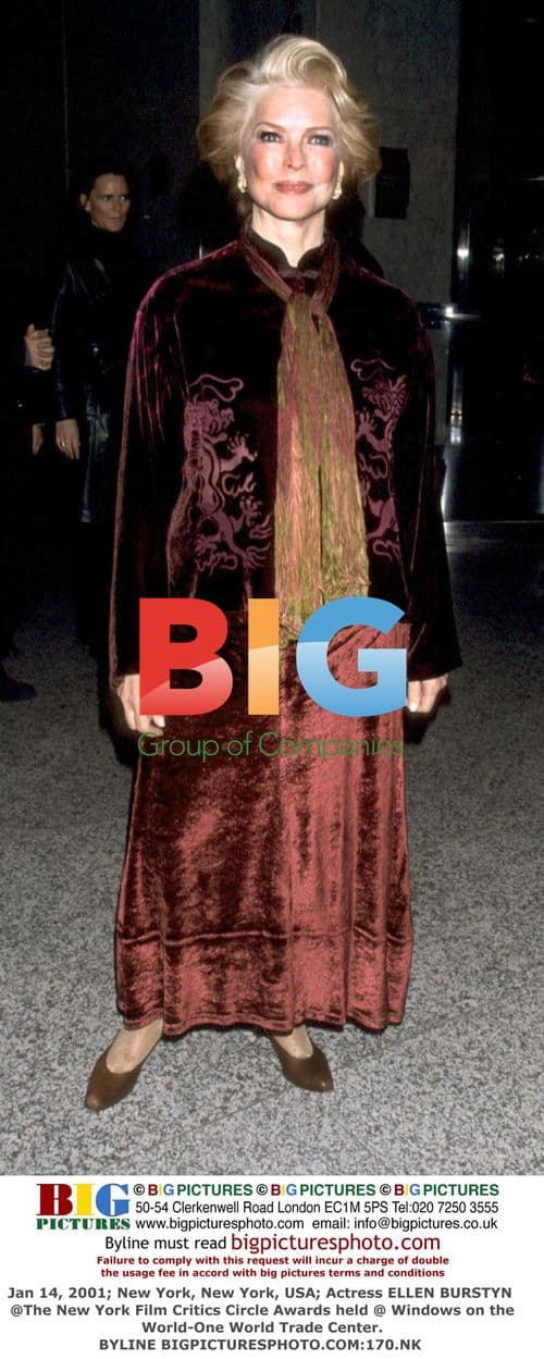 Ellen Burstyn at NY Film Critics Circle Awards