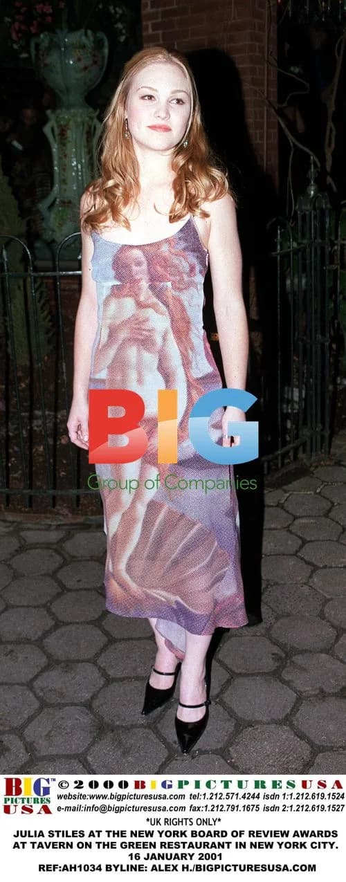 Julia Stiles at NY Board of Review Awards