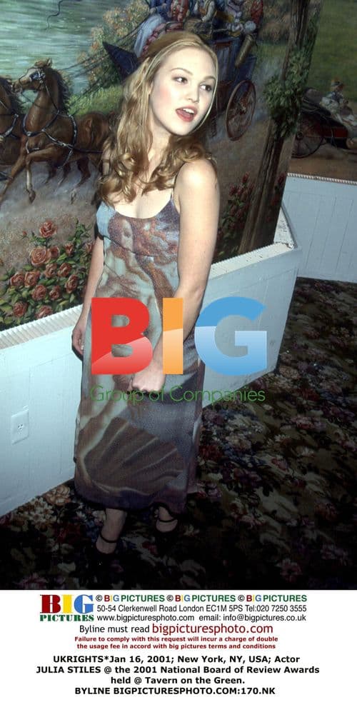 Julia Stiles at 2001 National Board of Review Awards