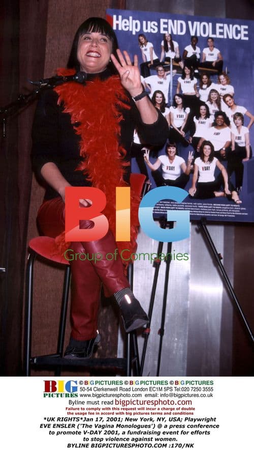 Eve Ensler at V-DAY 2001 press conference