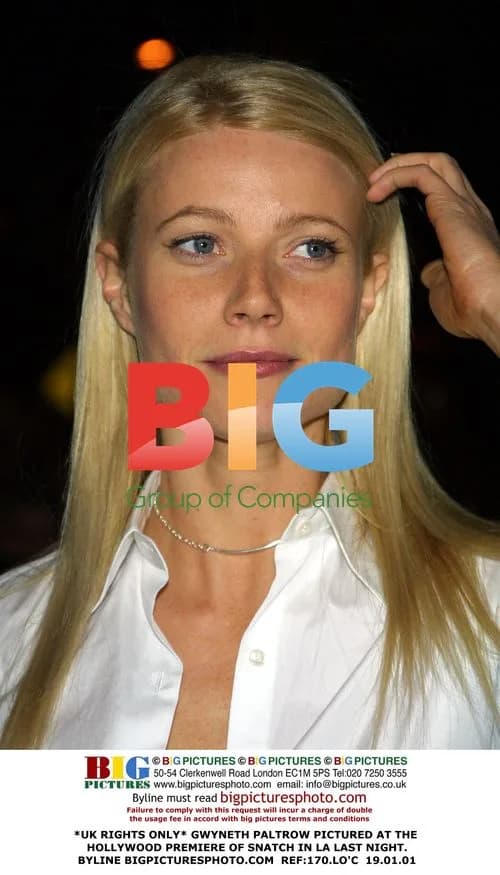 Gwyneth Paltrow at Snatch LA Premiere