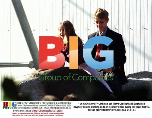 Casiraghi and Pauline climb on elephant