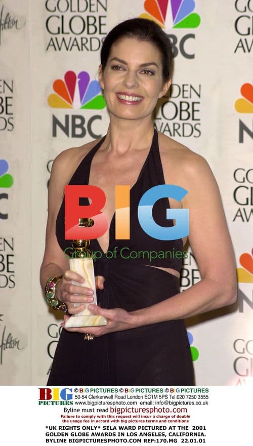 Sela Ward at 2001 Golden Globe Awards