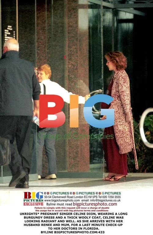 Pregnant Celine Dion Arrives for Doctor Visit