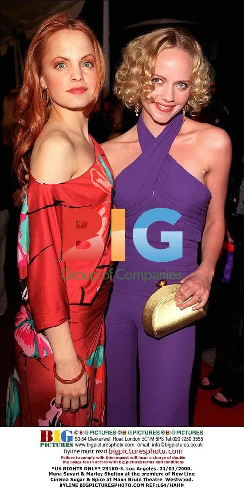 Mena Suvari & Marley Shelton at Sugar & Spice Premiere