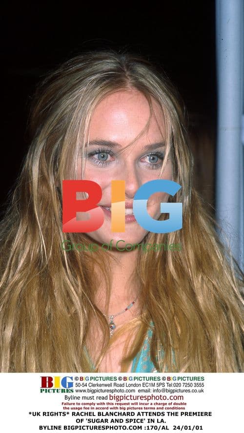 Rachel Blanchard at 'Sugar and Spice' Premiere