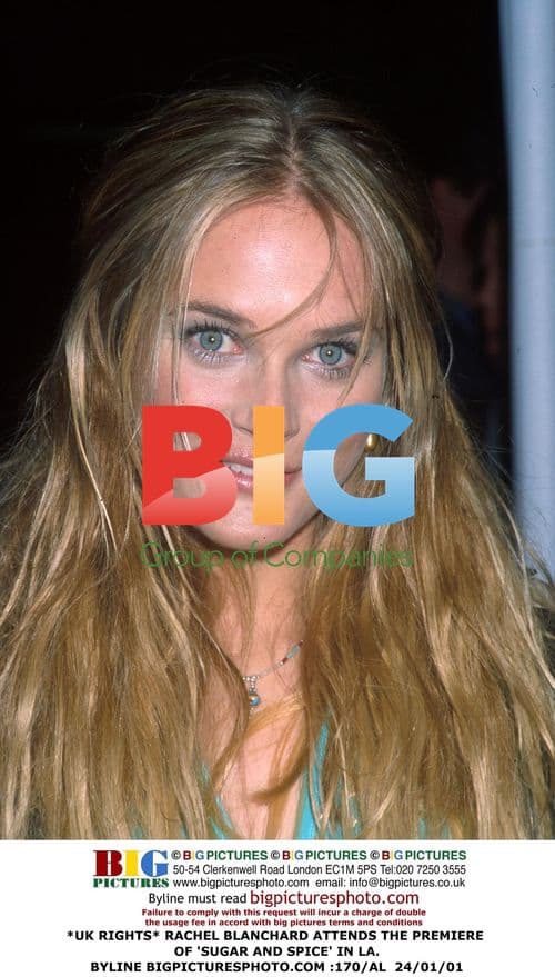 Rachel Blanchard at 'Sugar and Spice' Premiere