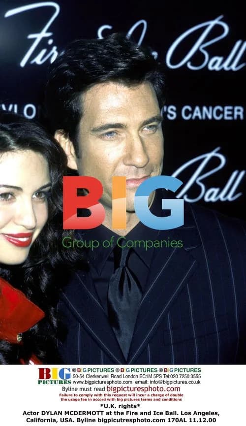 Dylan McDermott at Fire and Ice Ball