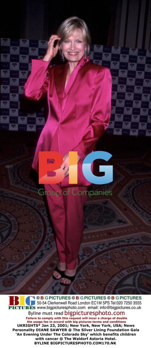 Diane Sawyer at Silver Lining Gala in NYC