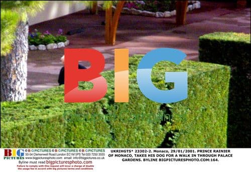 Prince Rainier Walks Dog in Palace Gardens