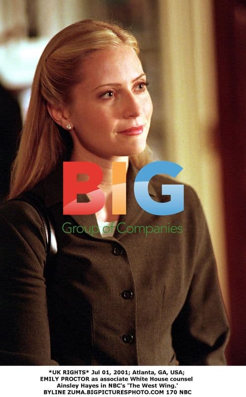 Emily Proctor as Ainsley Hayes in The West Wing