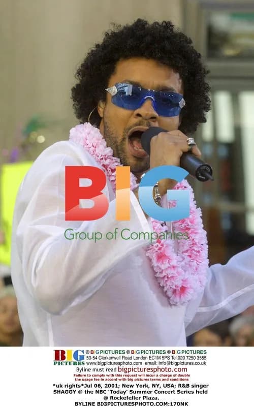 Shaggy at NBC 'Today' Summer Concert