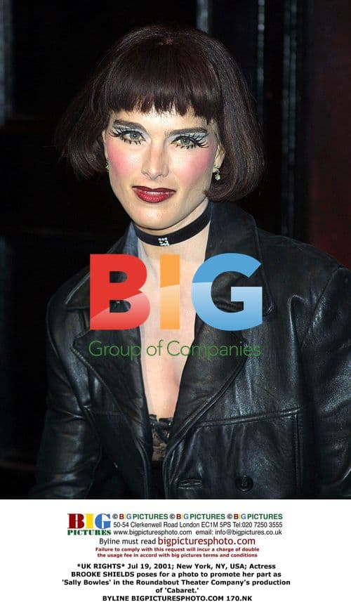 Brooke Shields Promotes 'Cabaret' Role