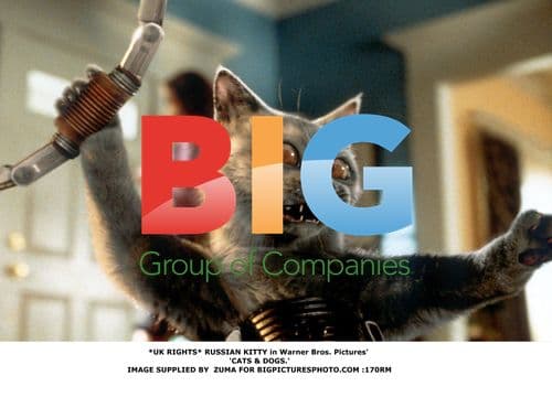 RUSSIAN KITTY in 'CATS & DOGS'