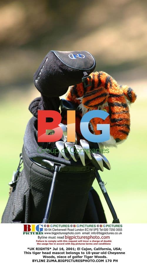 Tiger Woods' Niece Cheyenne with Tiger Head Mascot
